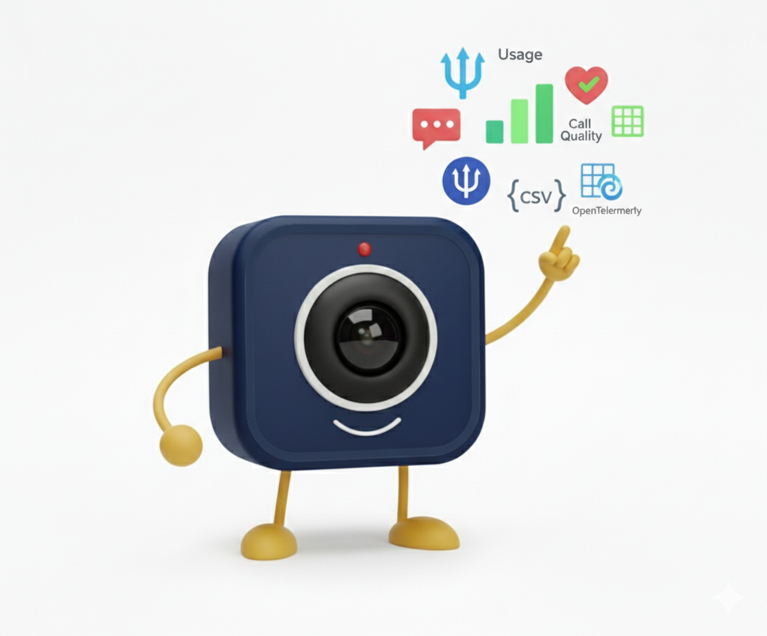 תצפית ארגונית: שימוש, תקינות ואיכות שיחה במבט חטוף